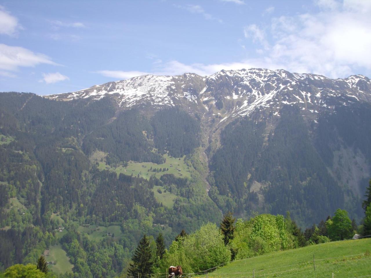 Maisaess Lifinarblick Villa Schruns Exterior photo